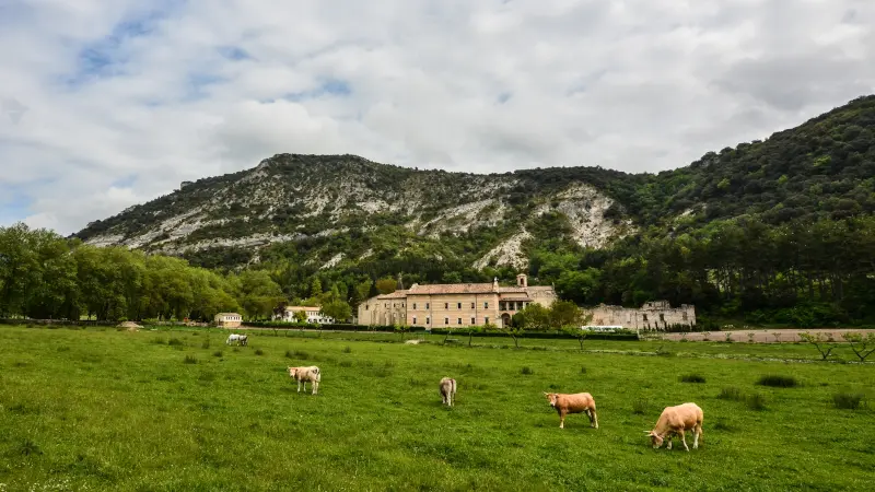 Ganado bovino pastando en una finca ganadera situada en un entorno montañoso
